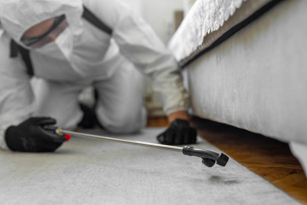 Professional Ant Control technician working in Home Garden, CA