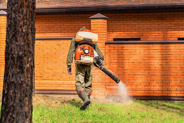 Trusted Ant Control service in Home Garden, CA - Nex Pest Control
